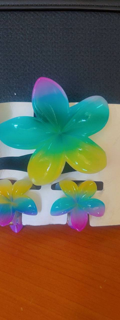 Hair clip