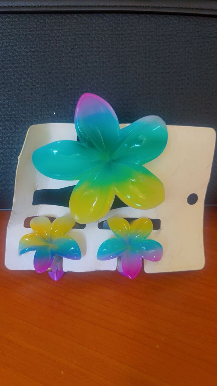 Hair clip
