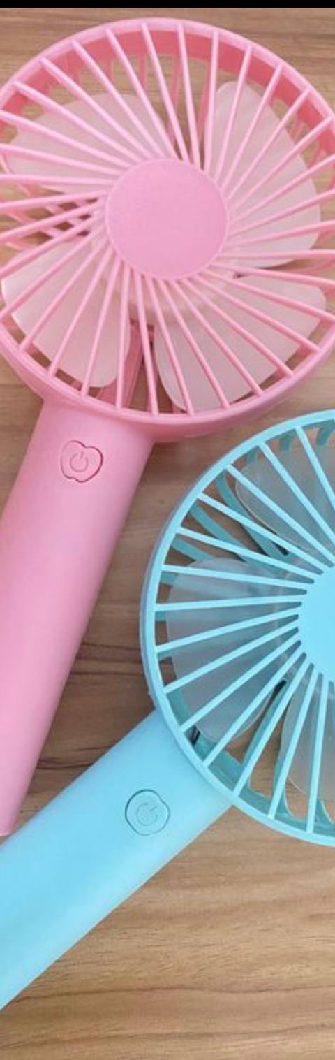 Portable fan